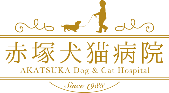 赤塚犬猫病院 AKATSUKA Dog&Cat Hospital Since1988