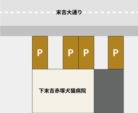 下末吉赤塚犬猫病院駐車場